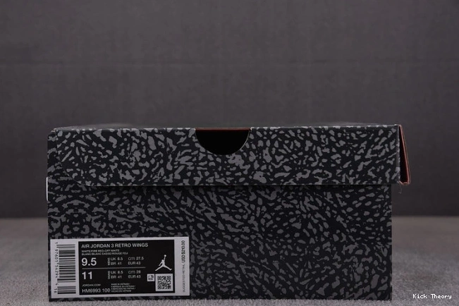 Kicktheory Jordan Retro 3 HM6993-100 Wings 0709